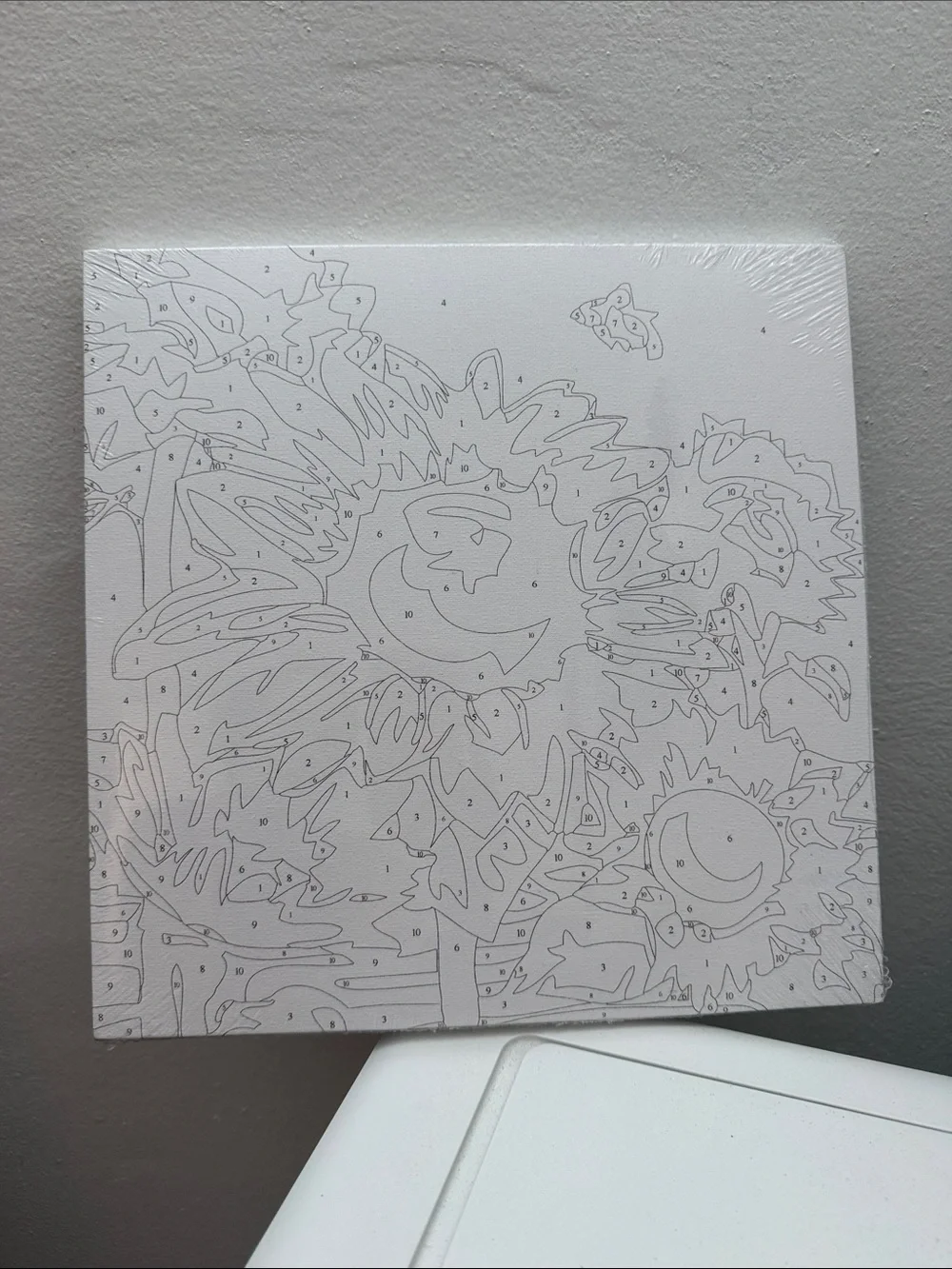 Blank Paint-by-Number Canvas with Sunflower Design - White